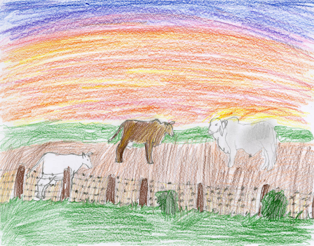 Winton_jvoap_Childrens_Art_Project_2026-67