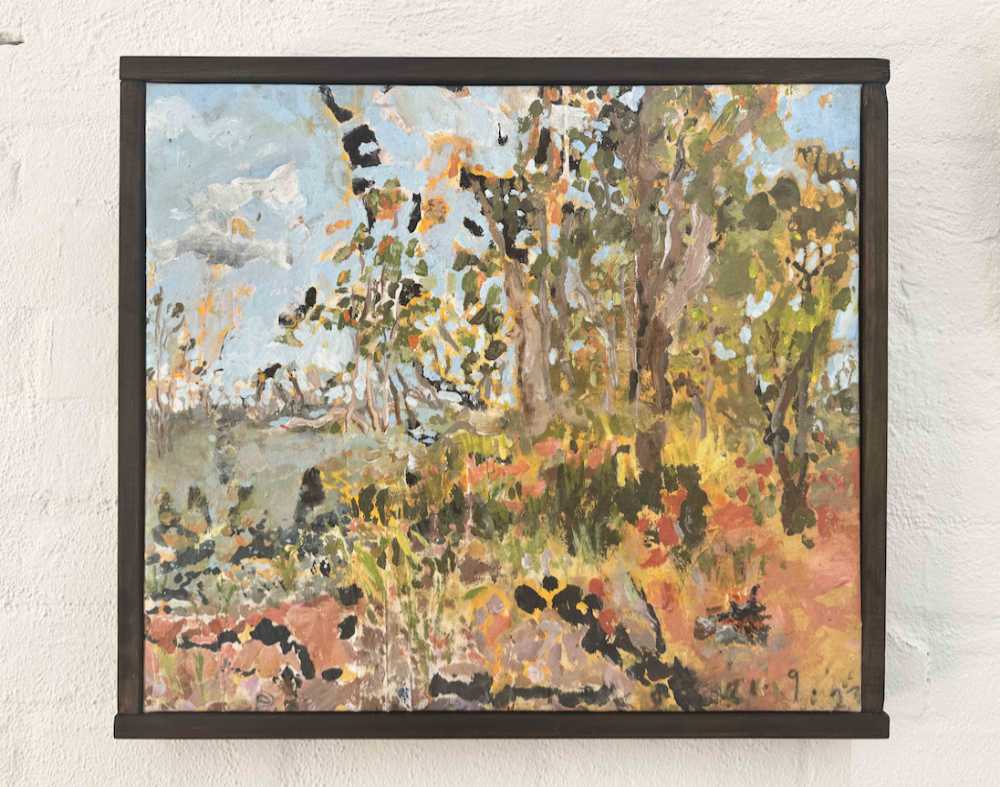 Neisha Phipps-Lake Pamamaroo