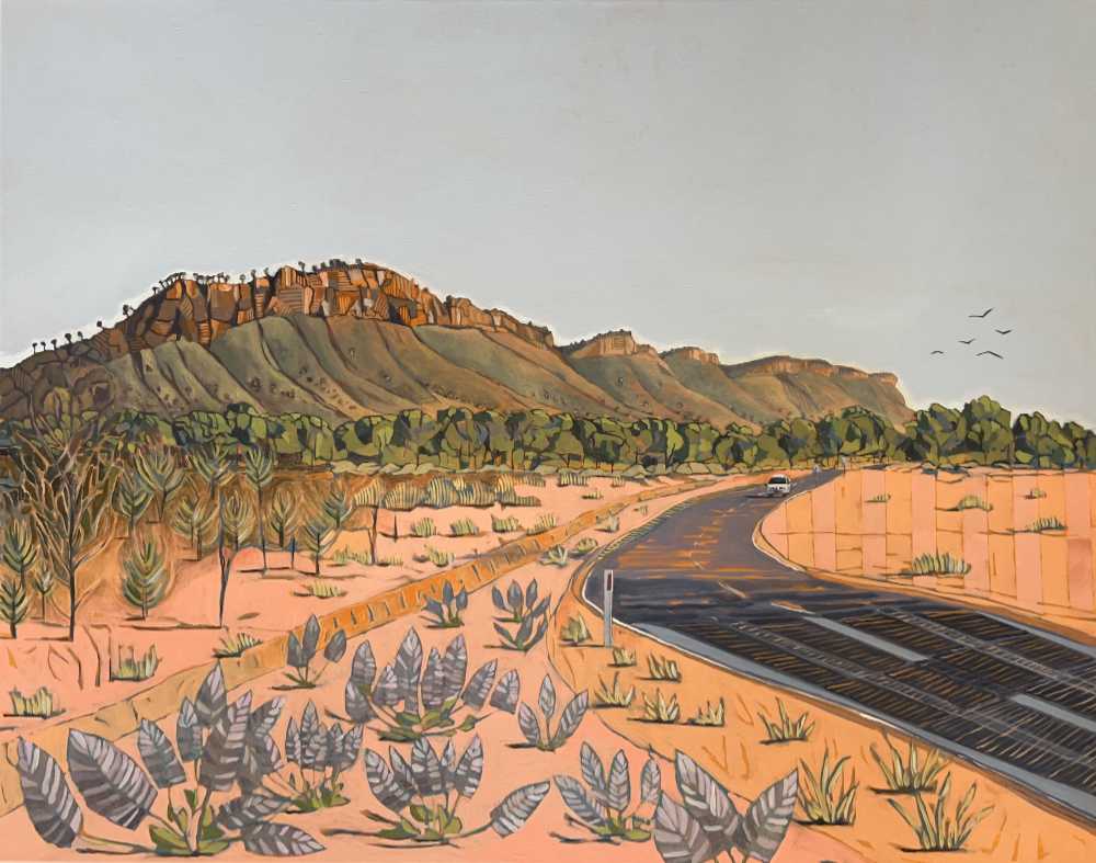Deb Michell-Smith-Mulla Mulla Country