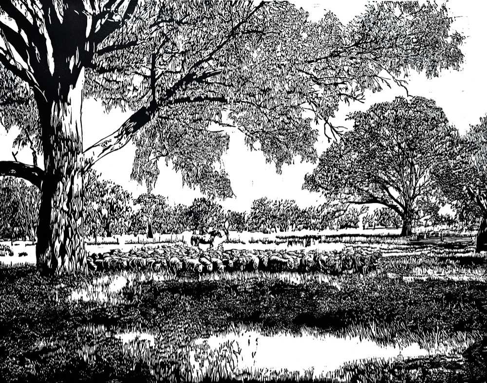 Amanda Western-On The Sheep's Back