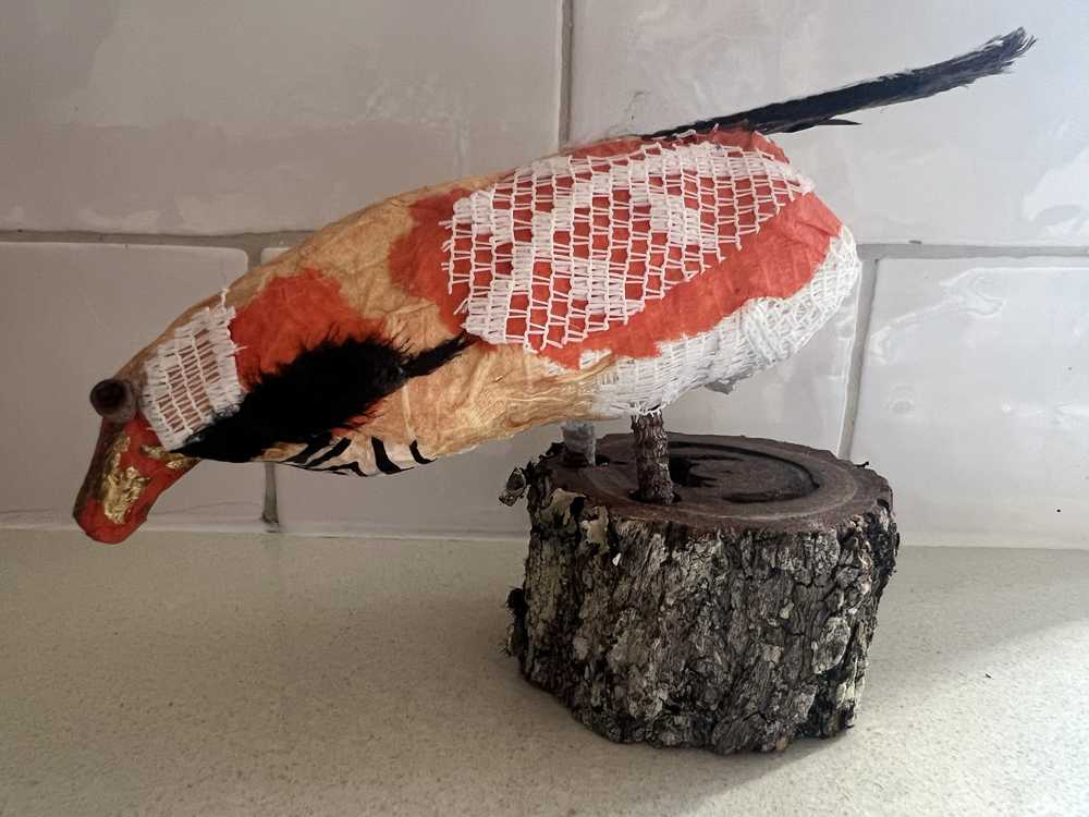 Megan Gaynor-Broken Bill Birdies - Zebra Finch