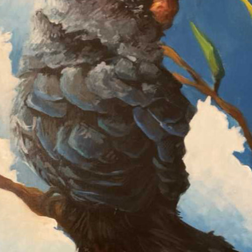 Wansandi Rathnayake-Red Tailed Black Cockatoo