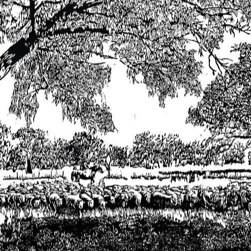 Amanda Western-On The Sheep's Back