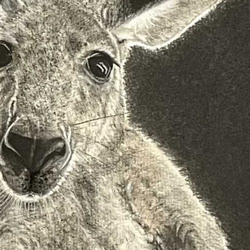 Christine Heller-Clancy