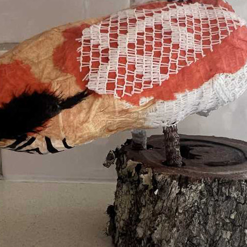 Megan Gaynor-Broken Bill Birdies - Zebra Finch